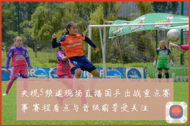 央视5频道现场直播国乒出战重点赛事 赛程看点与晋级前景受关注